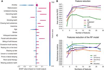 Predicting temporomandibular disorders in adults using interpretable machine learning methods: a model development and validation study